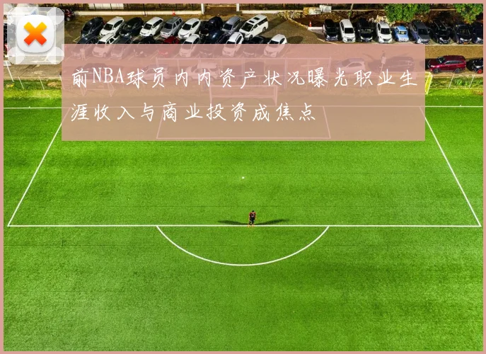 前NBA球员内内资产状况曝光职业生涯收入与商业投资成焦点