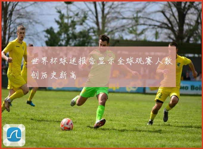 世界杯球迷报告显示全球观赛人数创历史新高