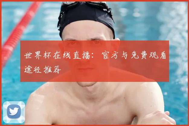 世界杯在线直播：官方与免费观看途径推荐