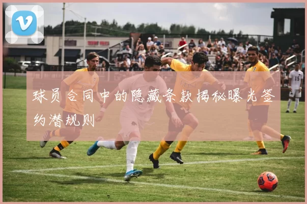 球员合同中的隐藏条款揭秘曝光签约潜规则