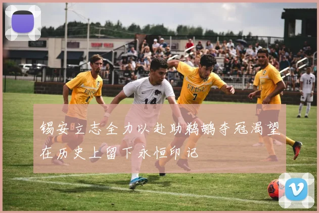 锡安立志全力以赴助鹈鹕夺冠渴望在历史上留下永恒印记