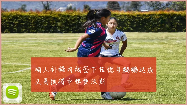 湖人补强内线签下伍德与鹈鹕达成交易换得中锋费沃斯