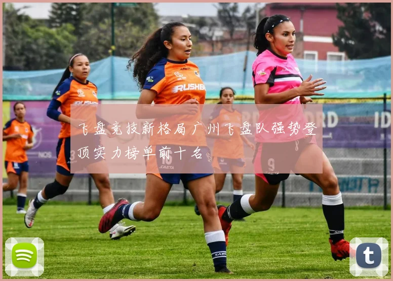 飞盘竞技新格局广州飞盘队强势登顶实力榜单前十名