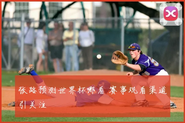张路预测世界杯哪看 赛事观看渠道引关注