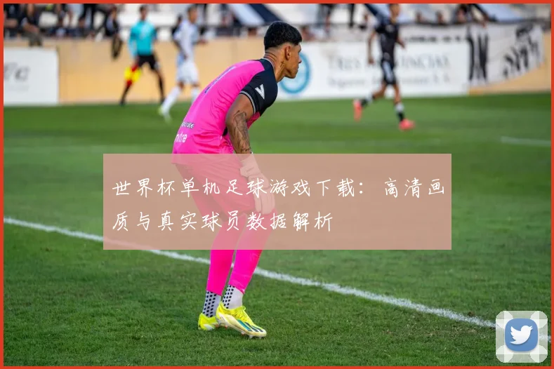 世界杯单机足球游戏下载：高清画质与真实球员数据解析